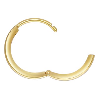 Hinged Hoop Earrings