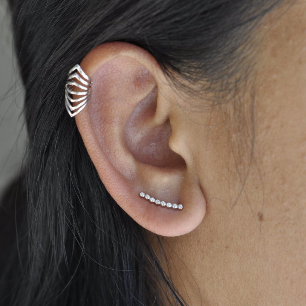 Graduated CZ Circles Ear Crawler - Earrings -  -  - Azil Boutique