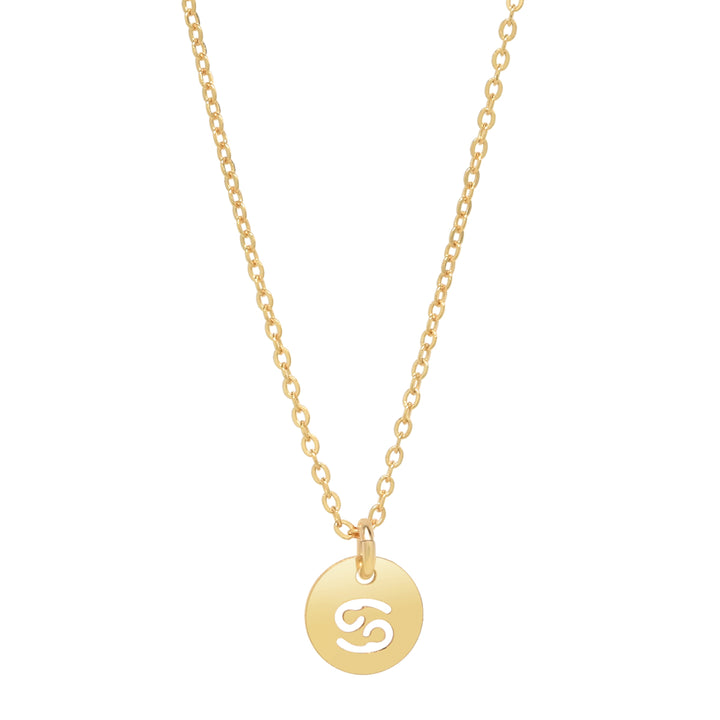 SALE - Zodiac Necklace - Necklaces - Cancer - Cancer - Azil Boutique